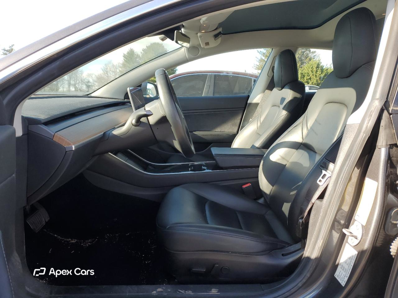Tesla Model 3 2019