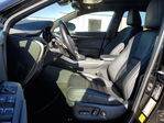 Lexus NX 2021