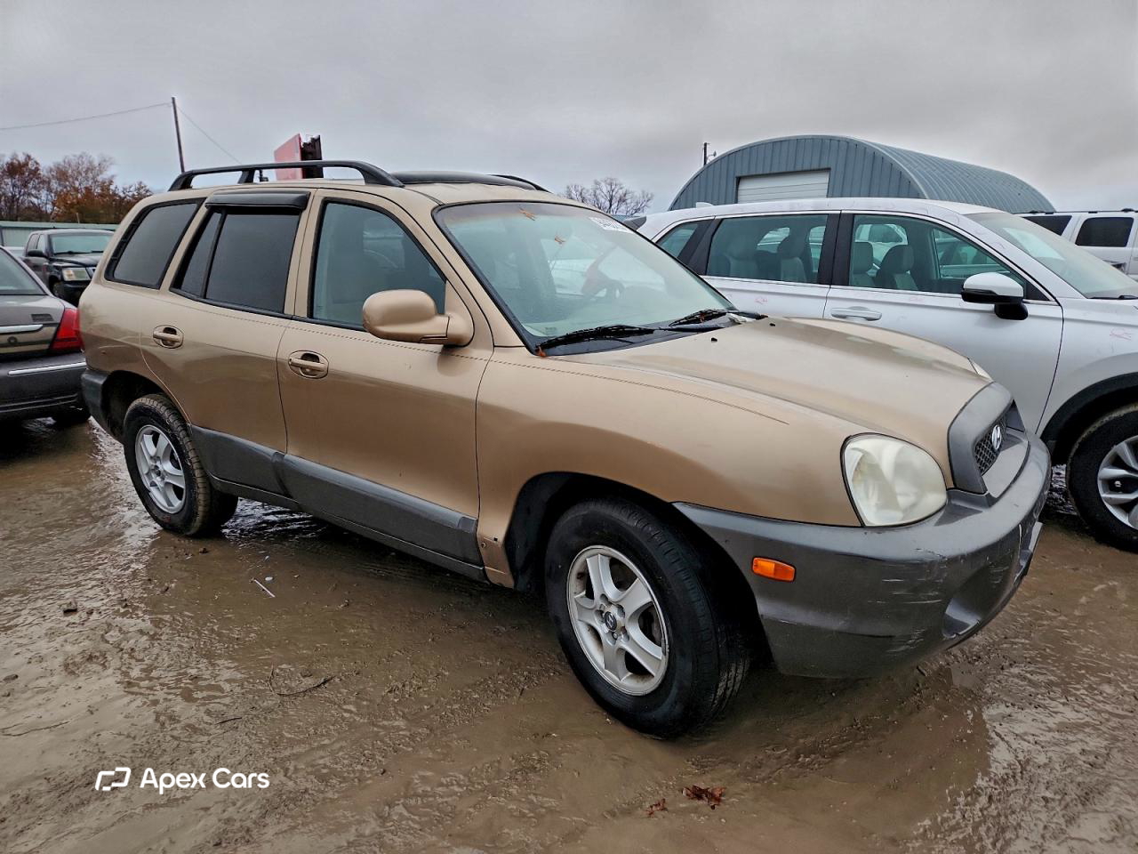 Hyundai Santa Fe 2004