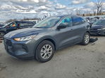 Ford Escape 2024