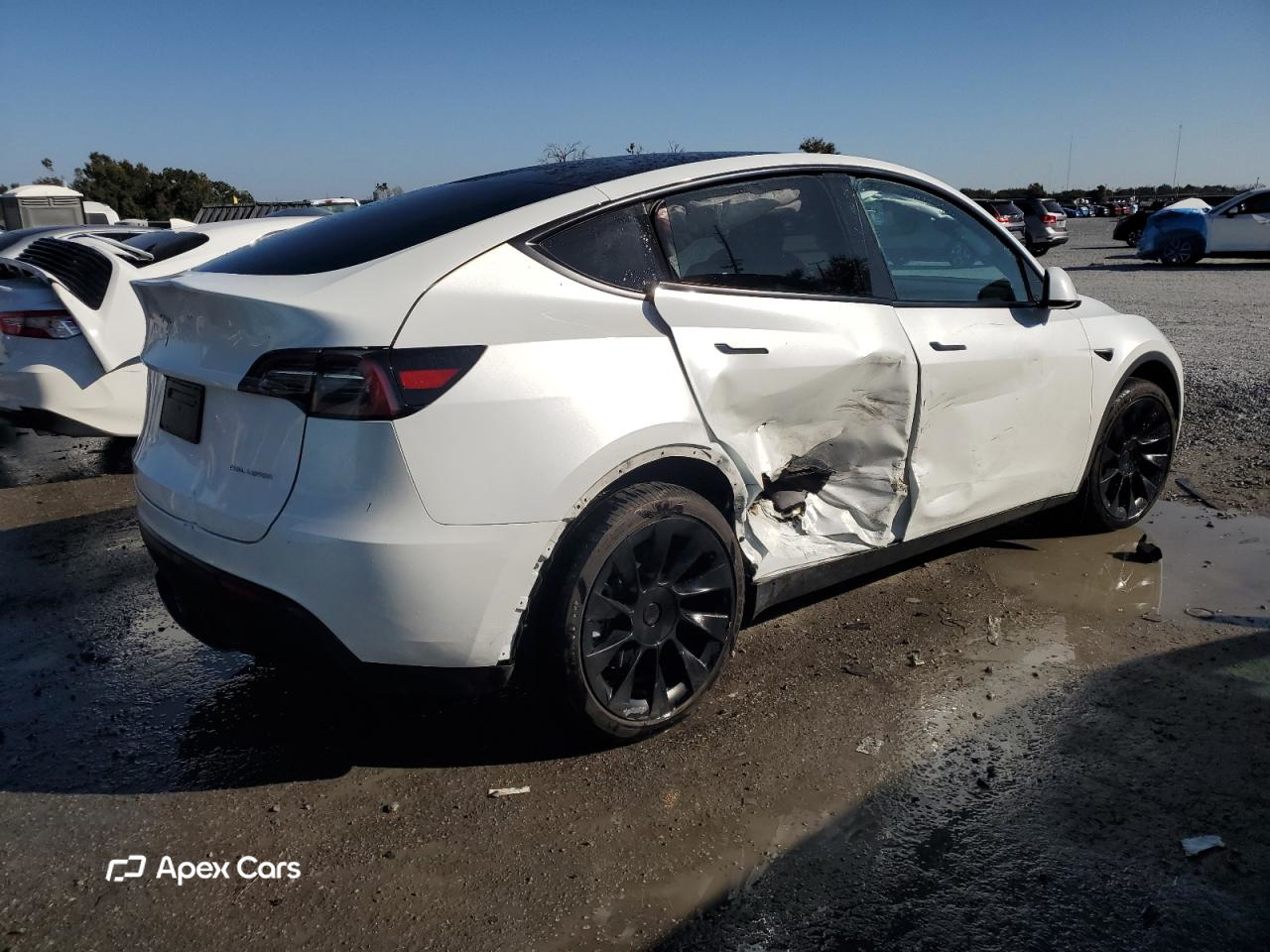 Tesla Model Y 2024
