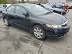 Honda Civic 2009