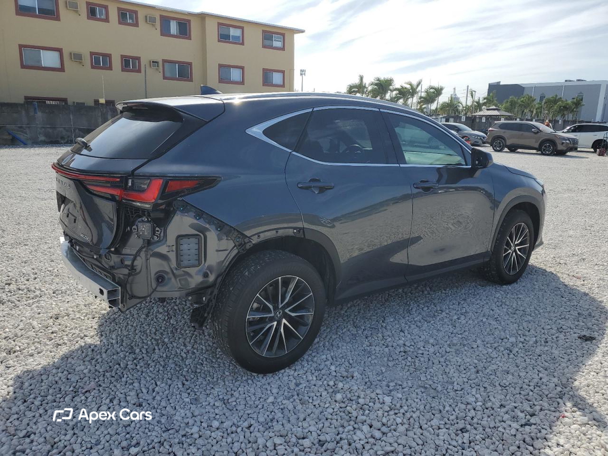 Lexus NX 2024