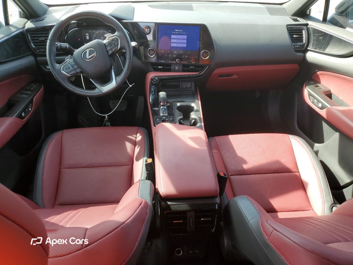Lexus NX 2024