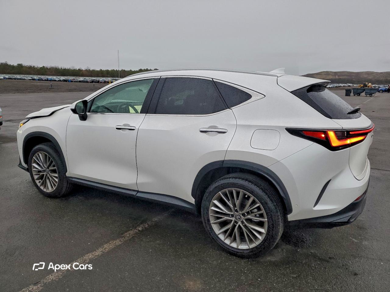 Lexus NX 2025