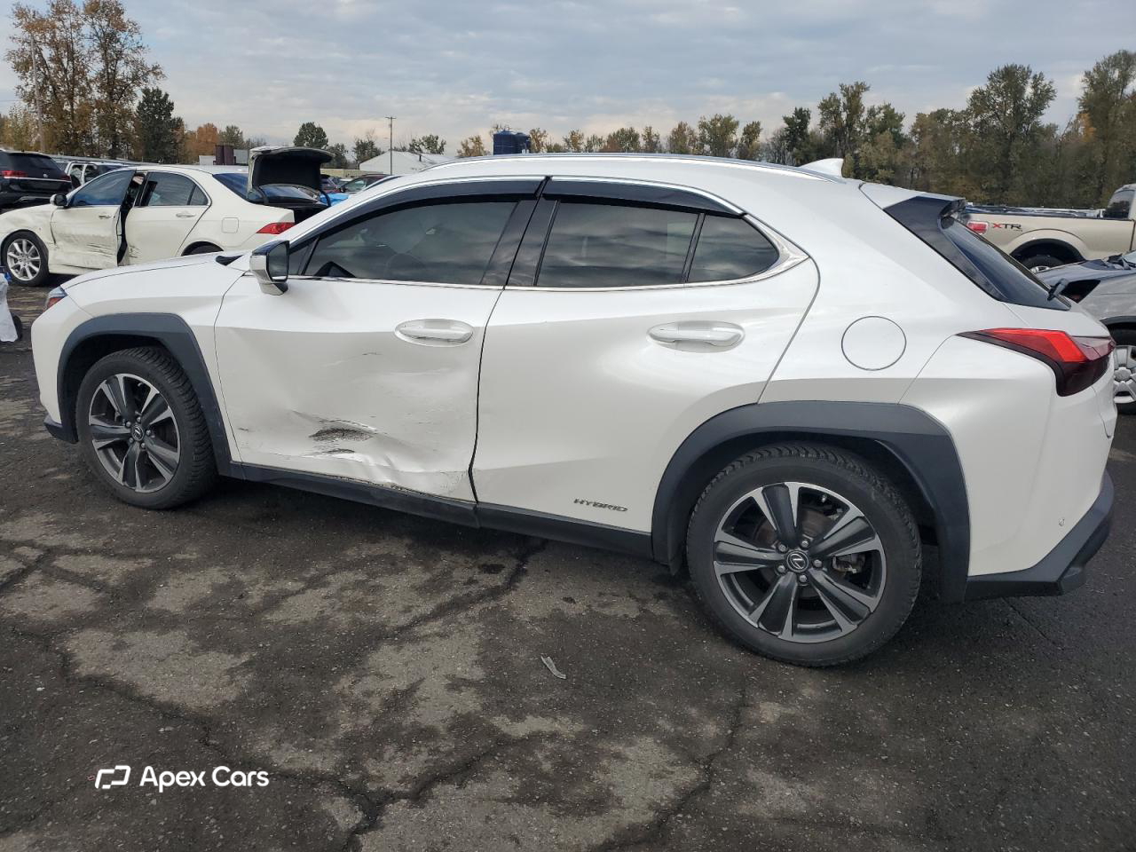 Lexus UX 2019