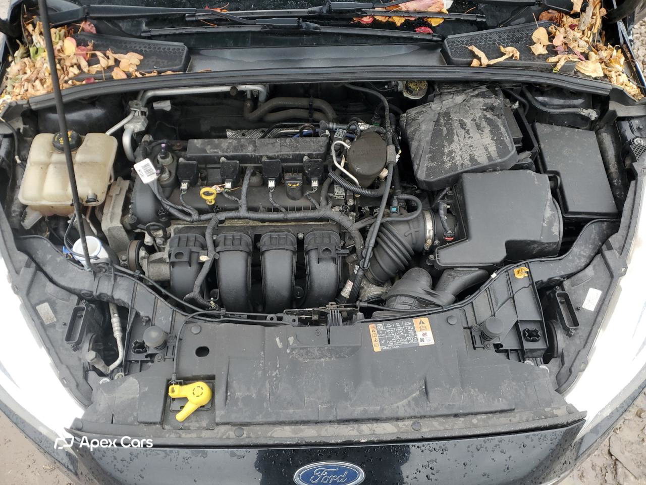 Ford Focus 2016