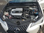 Lexus UX 2019