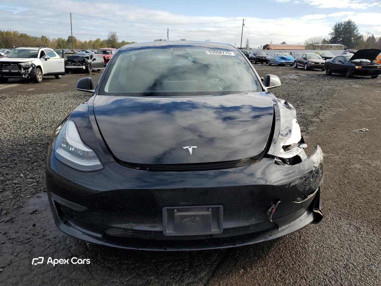 Tesla Model 3 2019