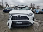 Toyota RAV 4 2025