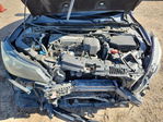 Honda Accord 2013