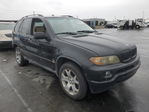 BMW X5 2005