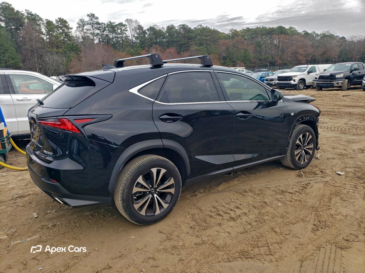 Lexus NX 2021