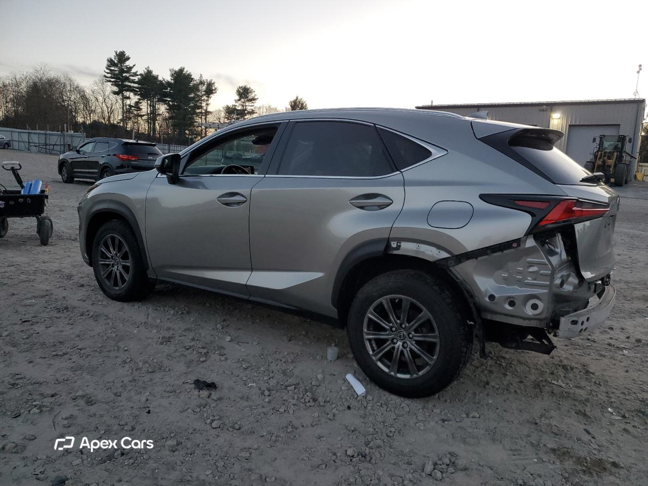 Lexus NX 2020