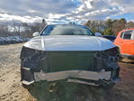 Audi Q8 2019