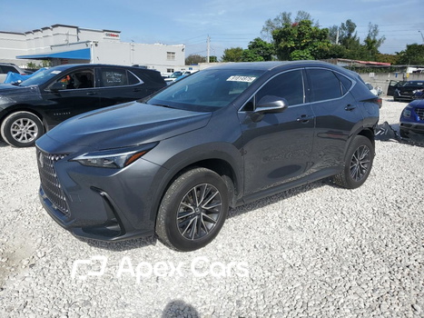 Lexus NX 2024 - Zdjęcie 1 z 14
