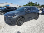 Lexus NX 2024