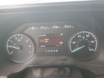 Ford F250 2023