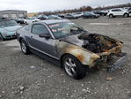Ford Mustang 2006