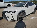 Lexus UX 2019