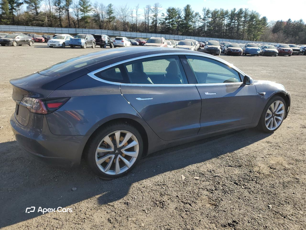 Tesla Model 3 2019
