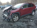 Toyota RAV 4 2019