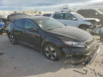 Kia Optima 2013