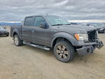 Ford F-150 2009