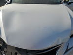 Lexus NX 2019