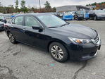 Honda Accord 2015