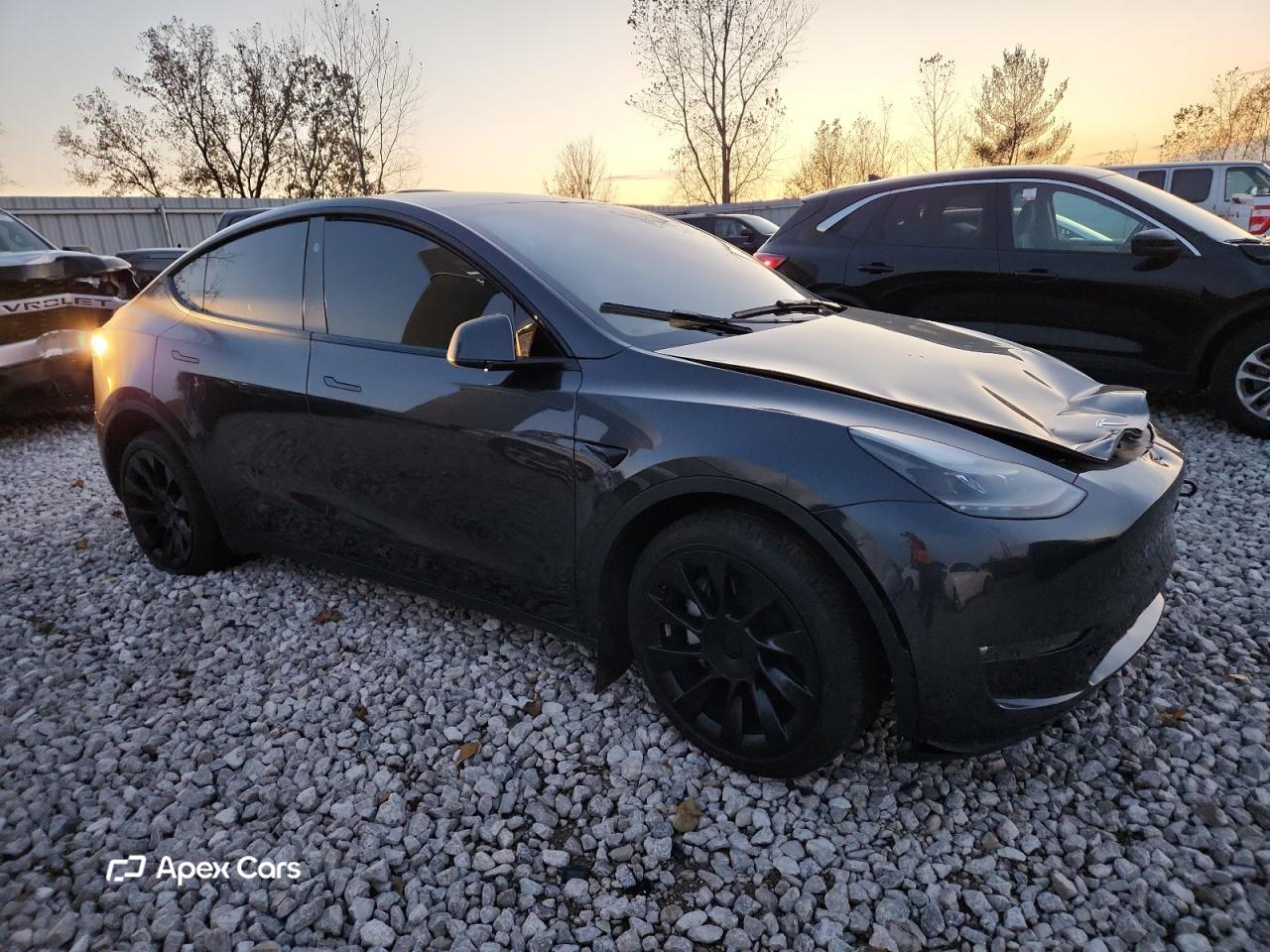 Tesla Model Y 2024