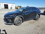 Lexus NX 2021