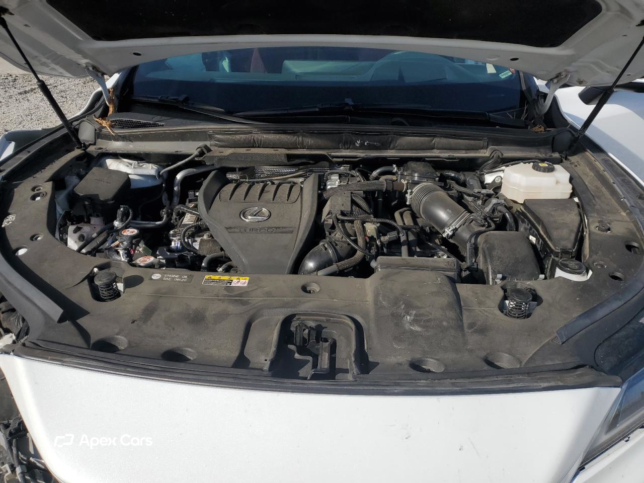 Lexus RX 2024