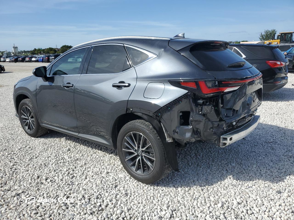 Lexus NX 2024