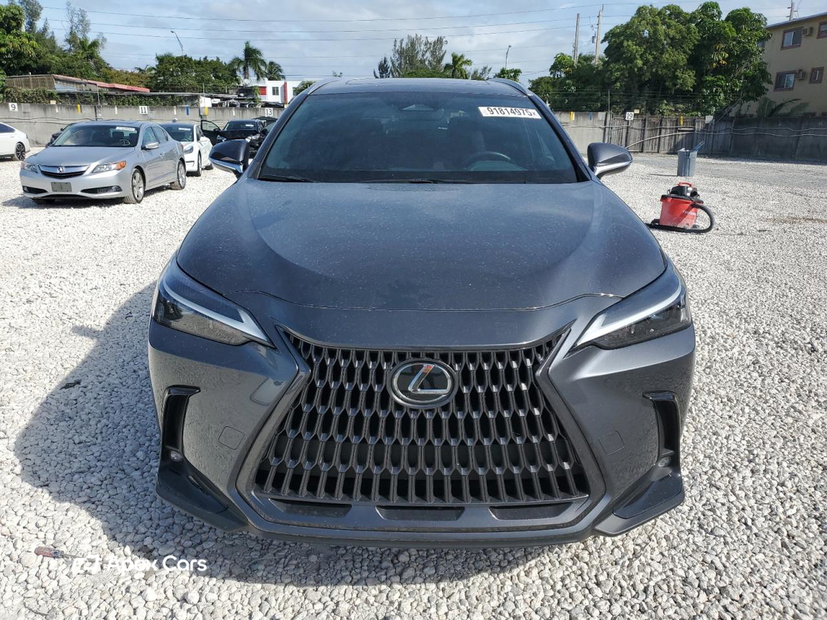 Lexus NX 2024