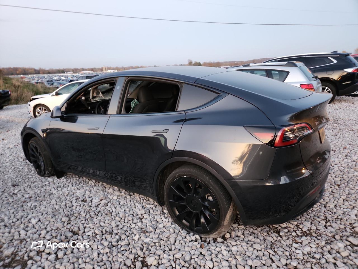Tesla Model Y 2024
