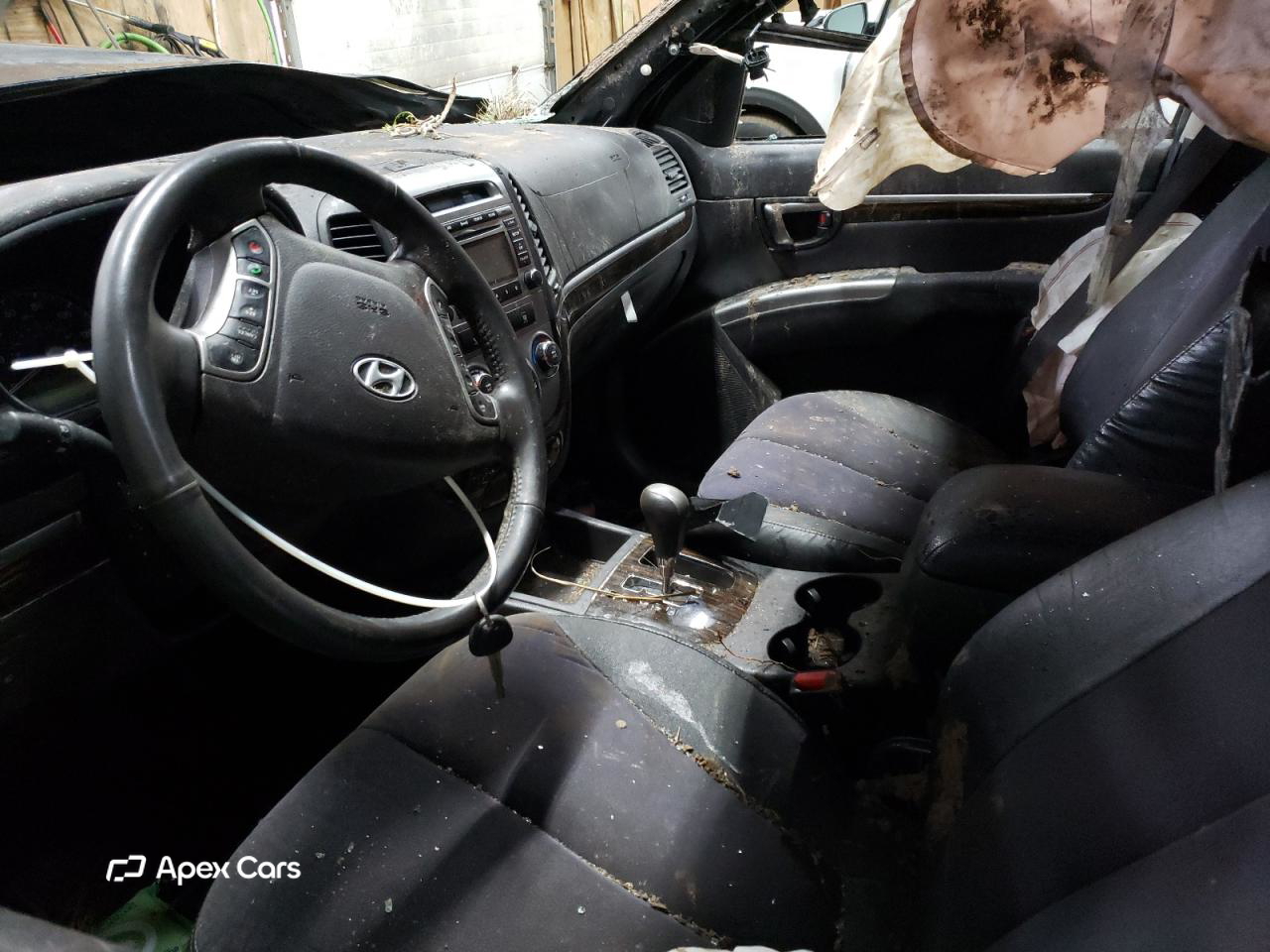 Hyundai Santa Fe 2010