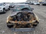 Ford Mustang 2006