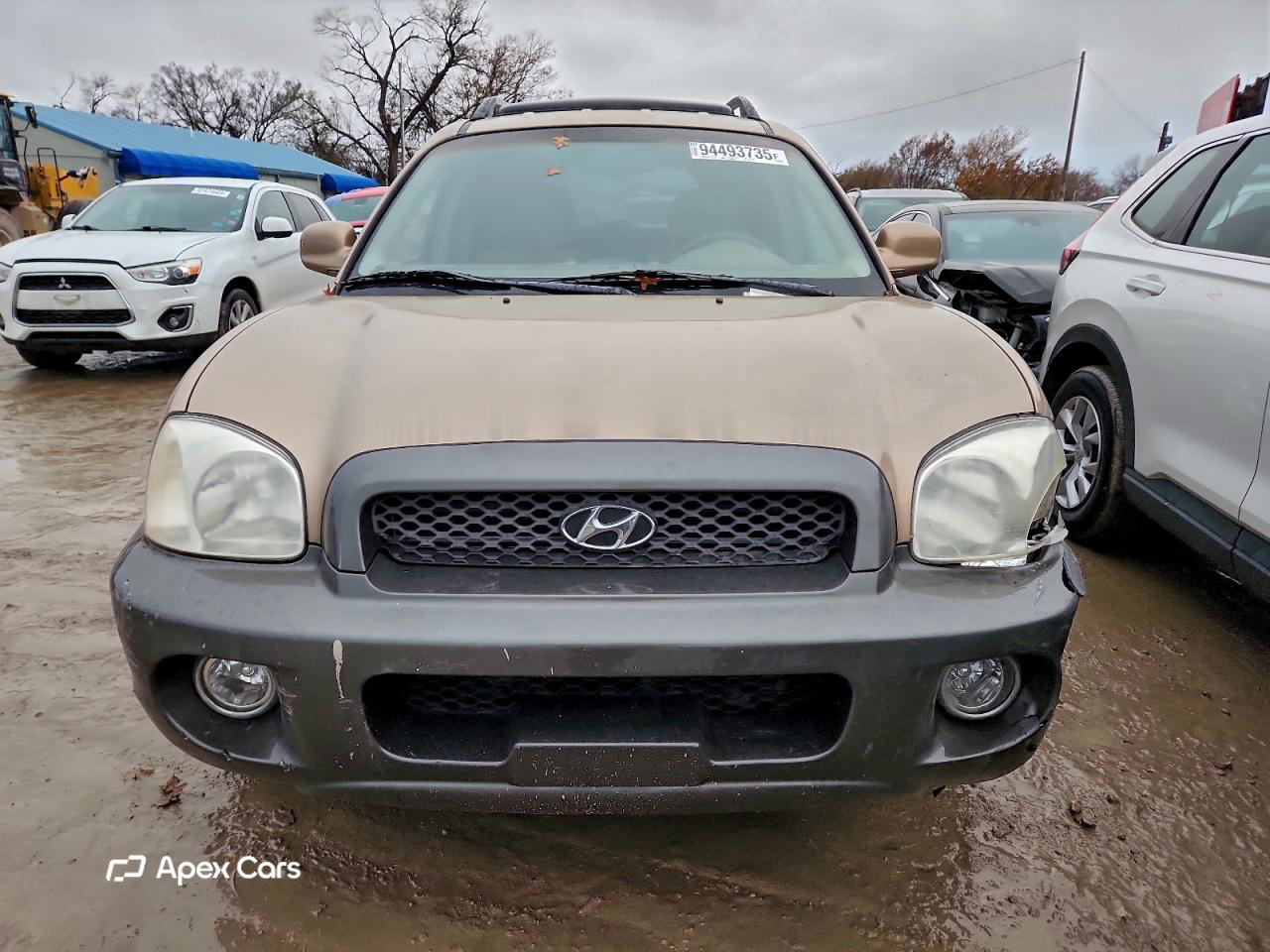 Hyundai Santa Fe 2004