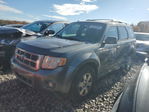 Ford Escape 2011
