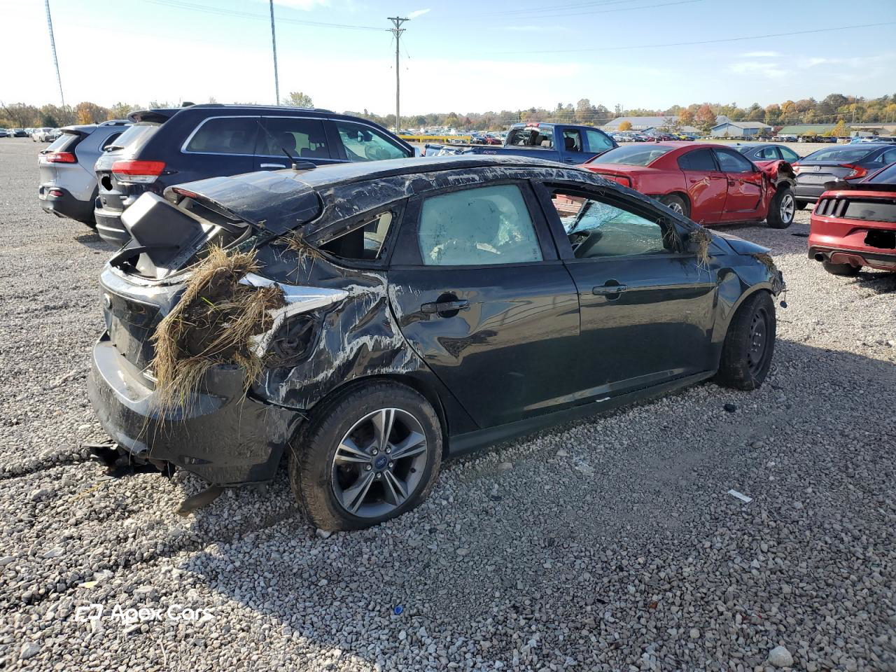 Ford Focus 2014