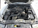 Ford Mustang 2004