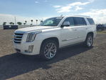 Cadillac Escalade 2017