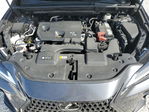 Lexus NX 2024