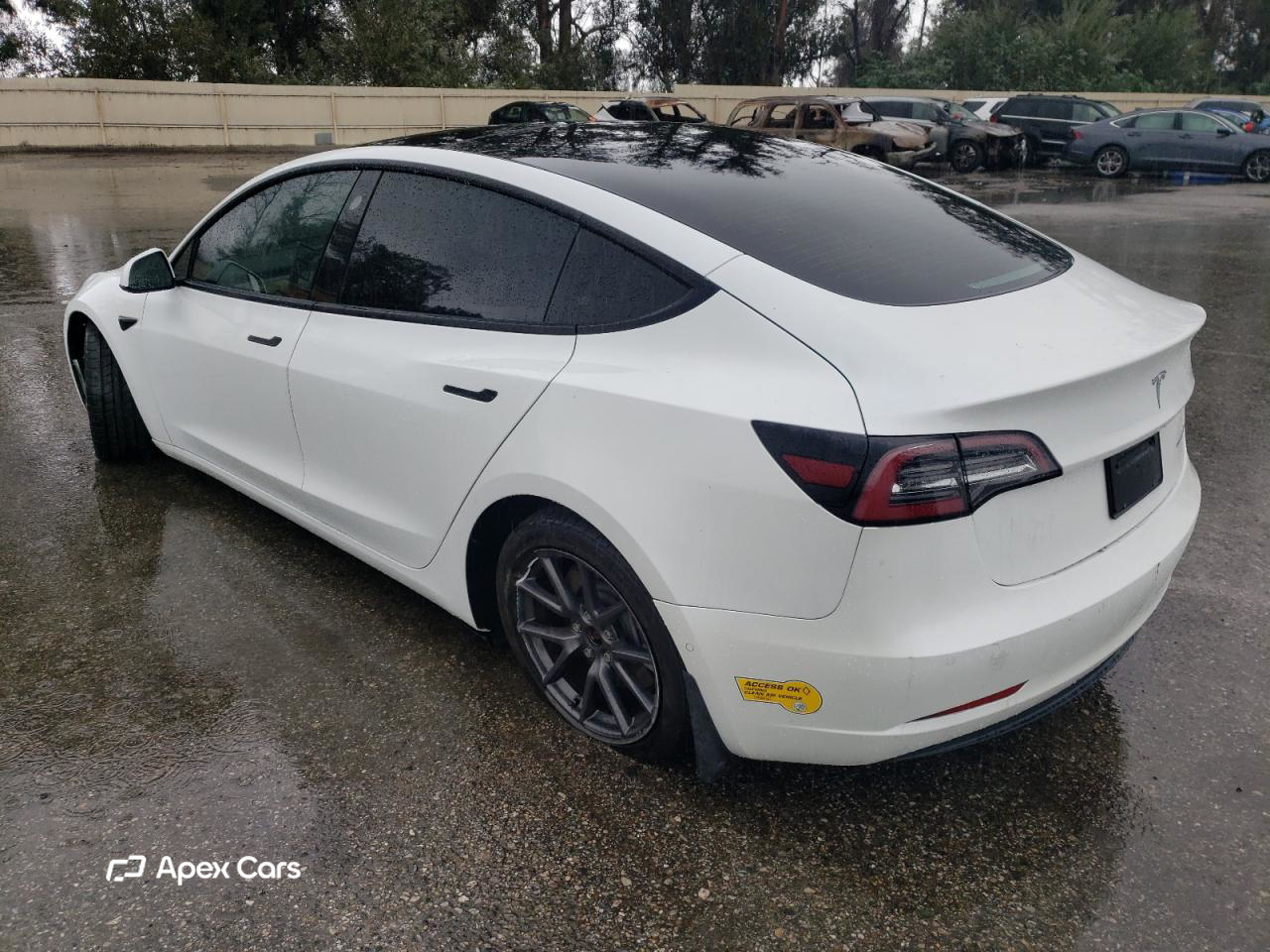 Tesla Model 3 2022