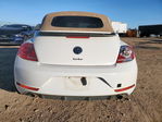 Volkswagen Beetle 2013