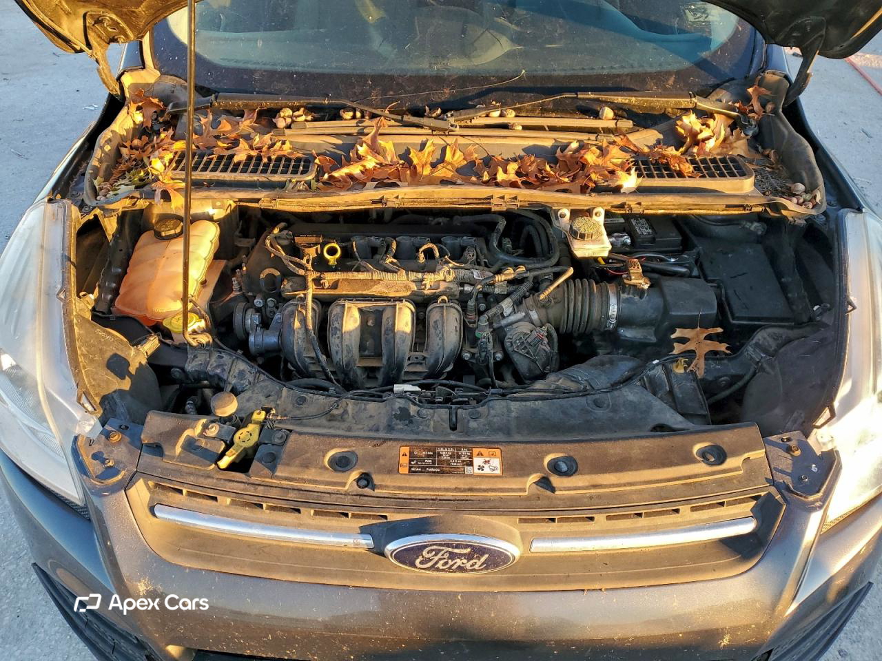 Ford Escape 2015