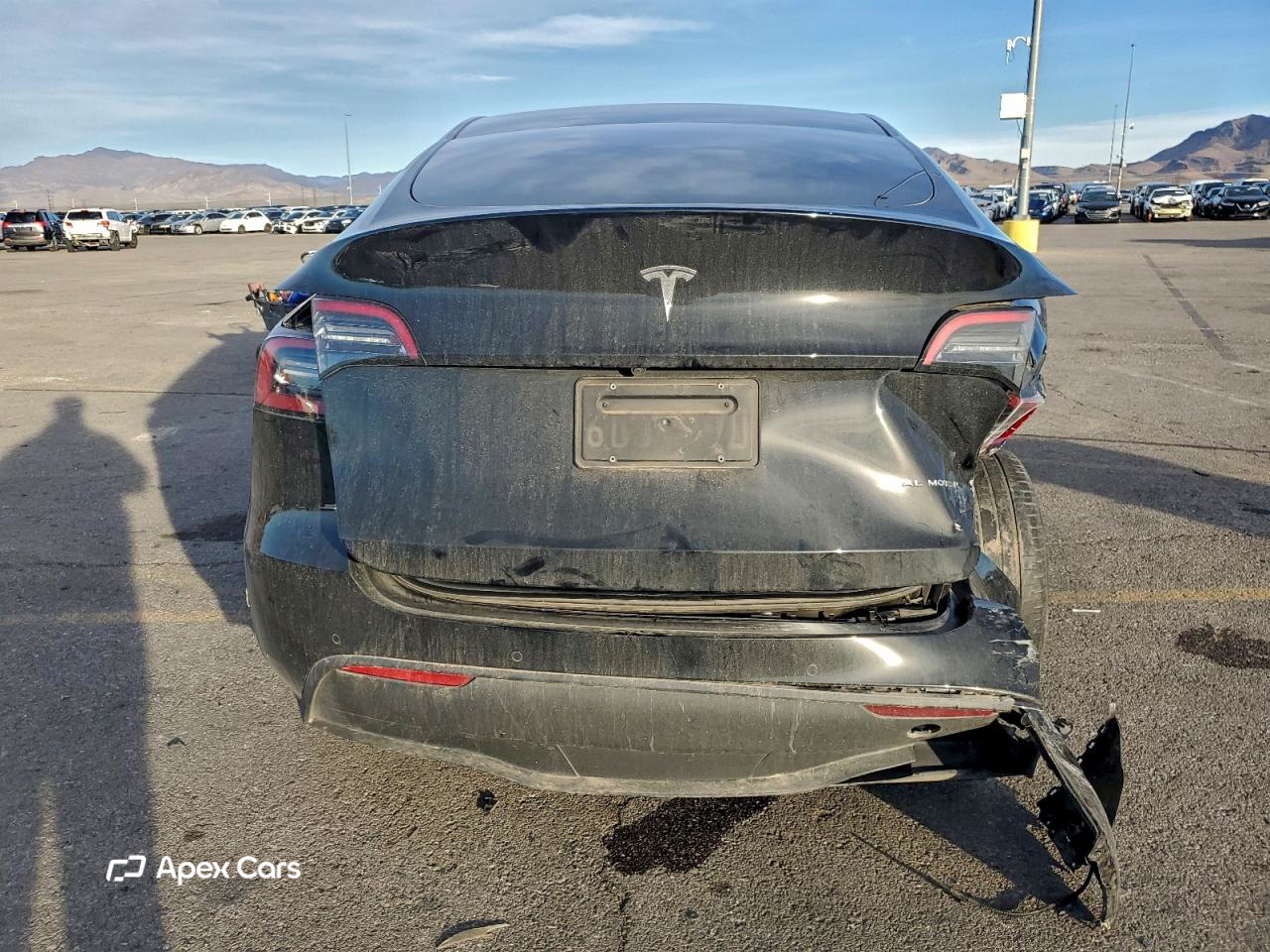 Tesla Model Y 2022