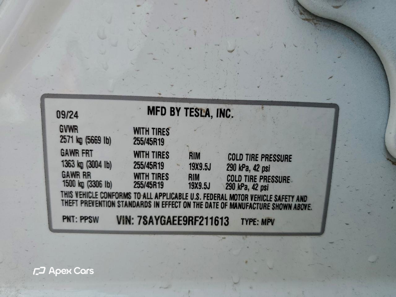 Tesla Model Y 2024