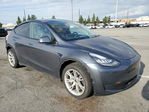 Tesla Model Y 2020